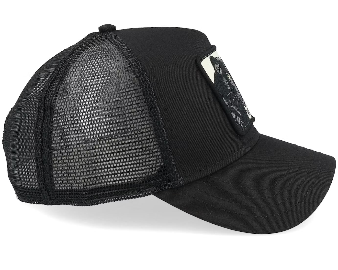 Goorin bros | Panther